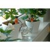 Купить Автополив LUX-TOOLS для комнатных растений