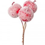 Купить Декоративные фрукты Яблоко на вставке засахаренные красные 15x4,5 cм