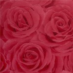 Купить Бумажные обои Маякпринт Розы 586-188-07 0,53x10,05 м красные