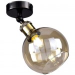 Потолочный светильник DREAM LIGHT Fashion DL15418/1 с поворотным плафоном