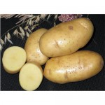 Картофель семенной СеДеК Удача 2 кг