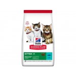 Купить Сухой корм для котят Hill's Kitten гранулы с тунцом 300 г